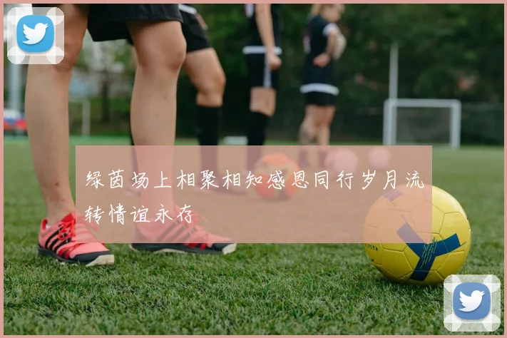 绿茵场上相聚相知感恩同行岁月流转情谊永存